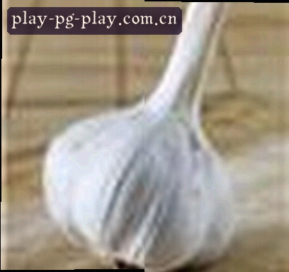 刘伟杰